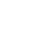 Success Flag Icon